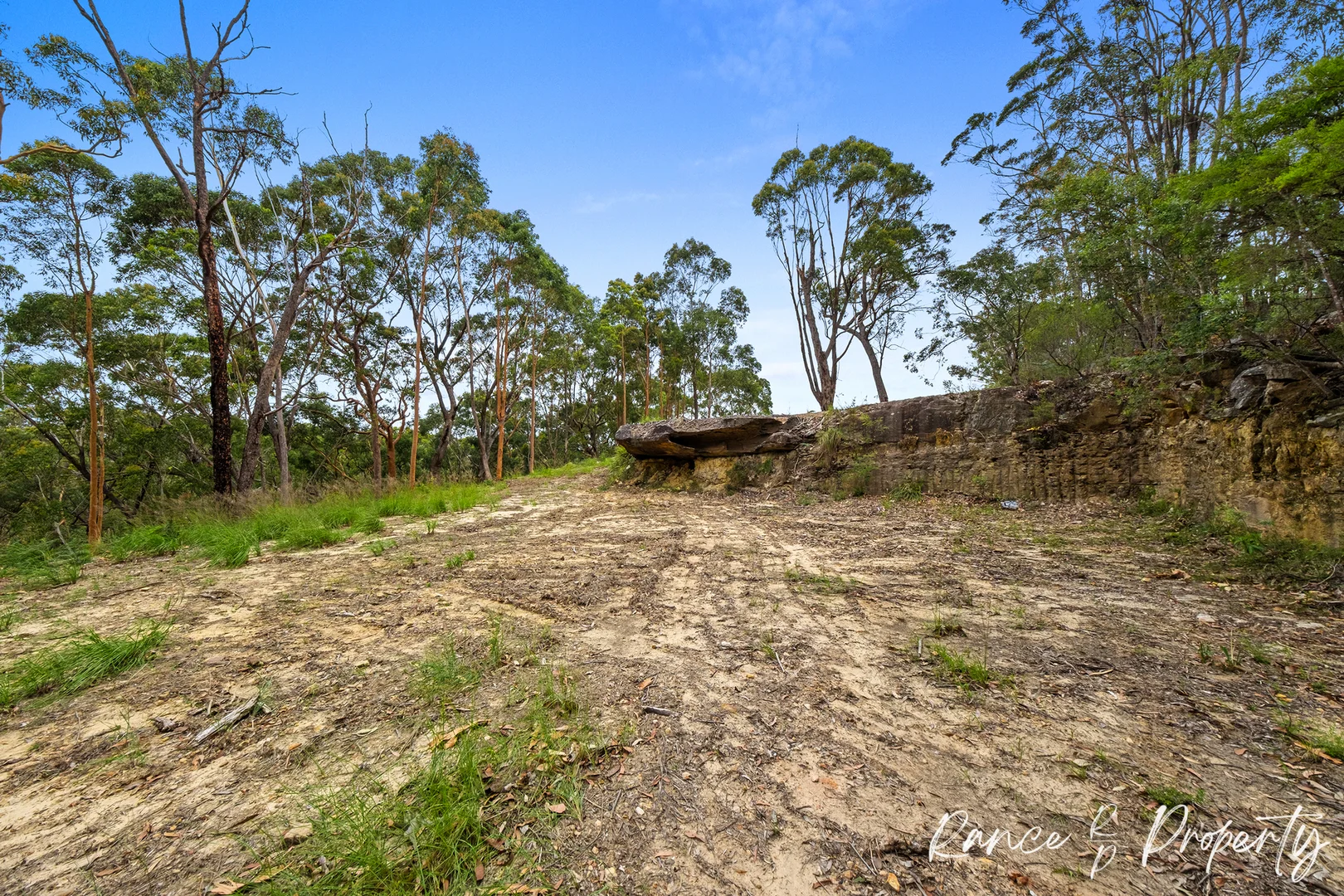 Image 13