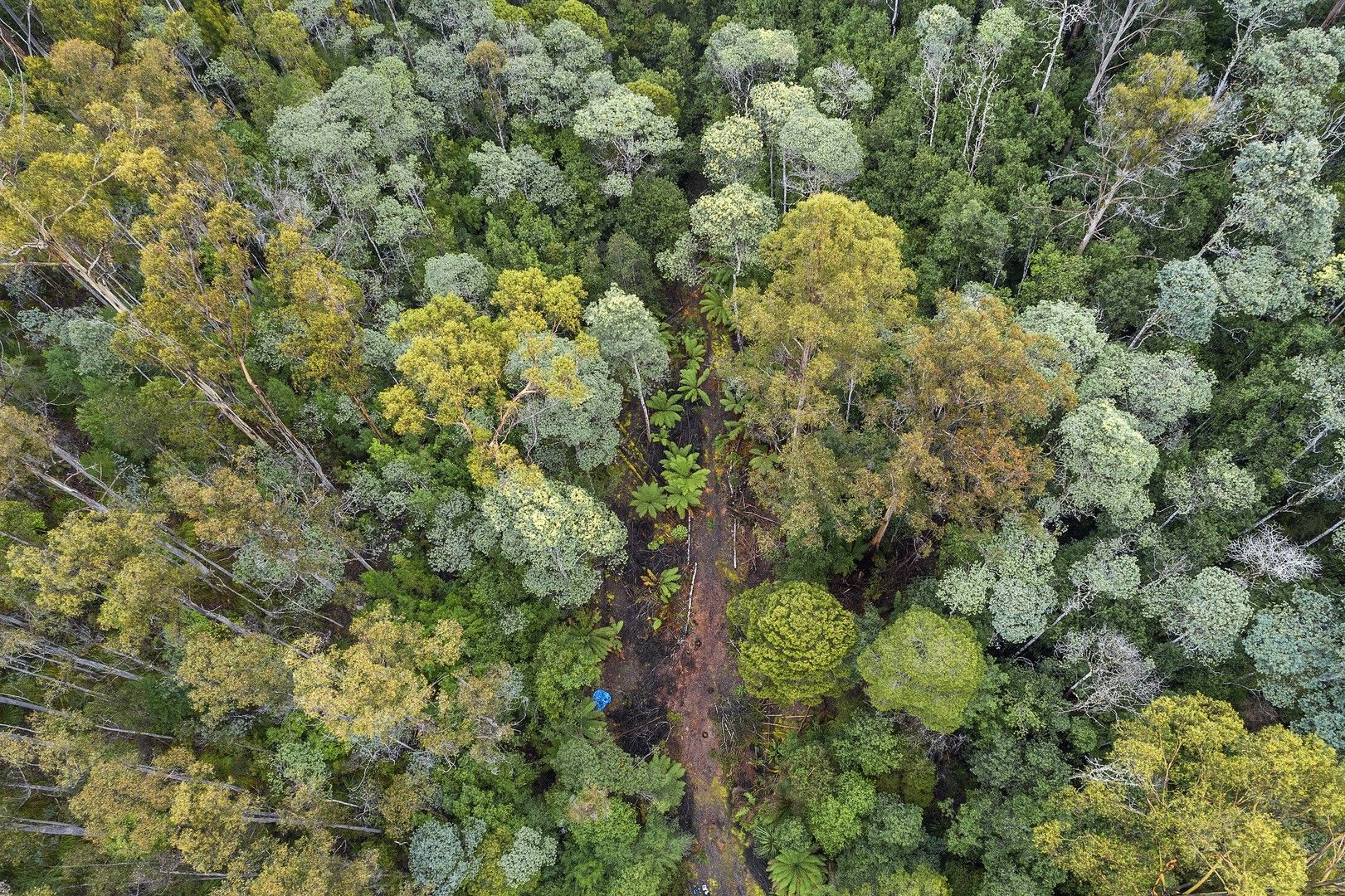 Vacant land in 111 Underwoods Road, NICHOLLS RIVULET TAS, 7112