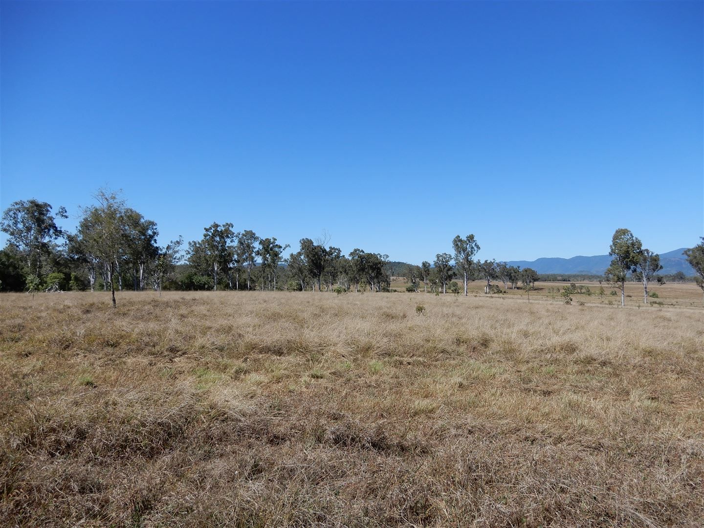 Bloomsbury QLD 4799 Farm for Sale Domain