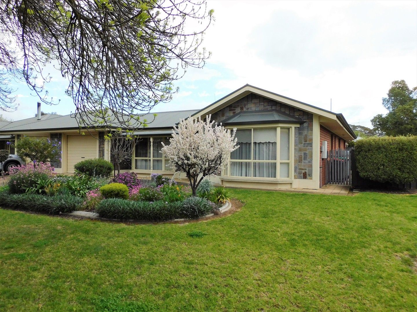 19 West Terrace, Bordertown SA 5268, Image 0