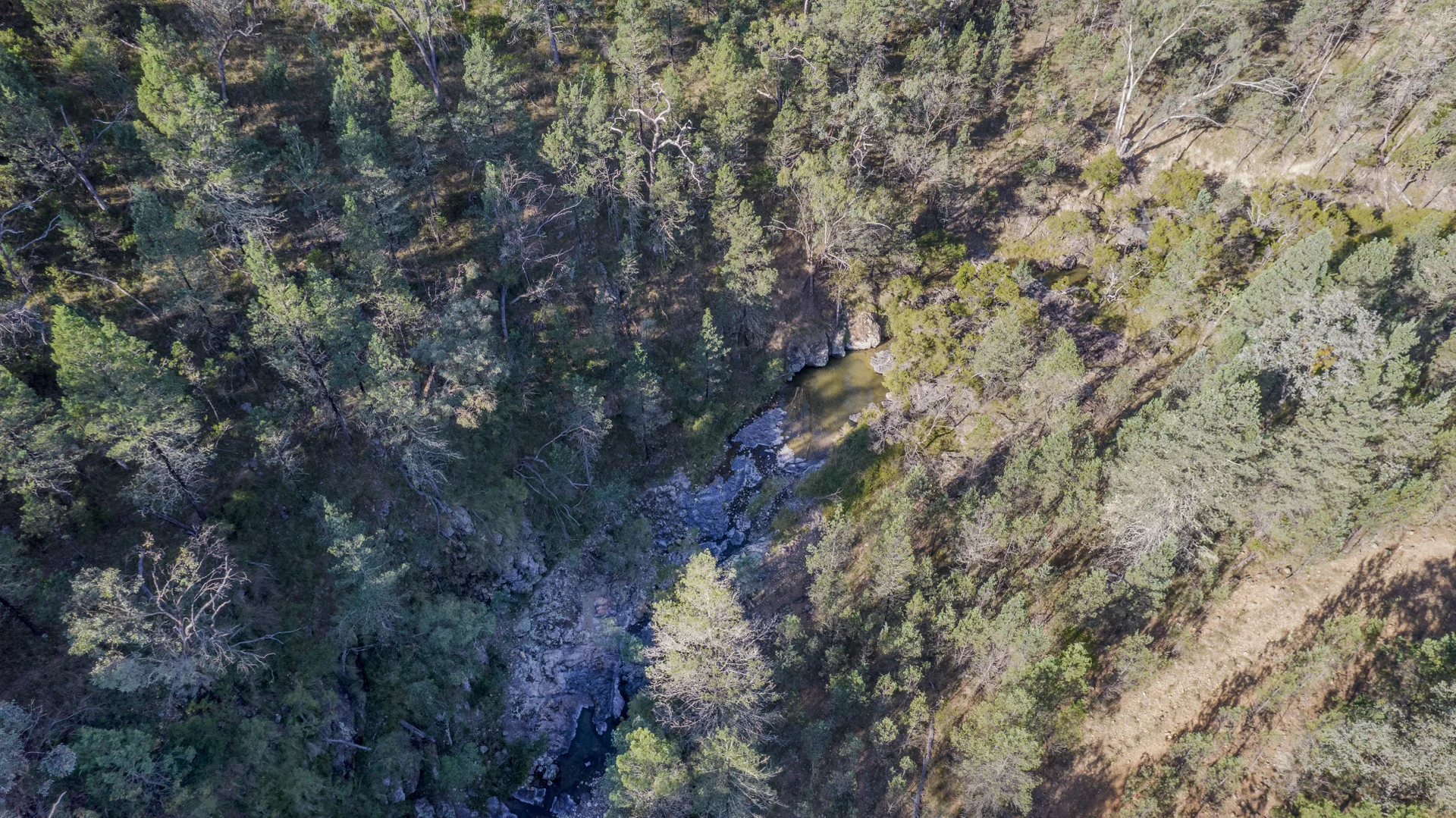 Additional image 15 of 4970 Bruxner Way, Tenterfield NSW 2372