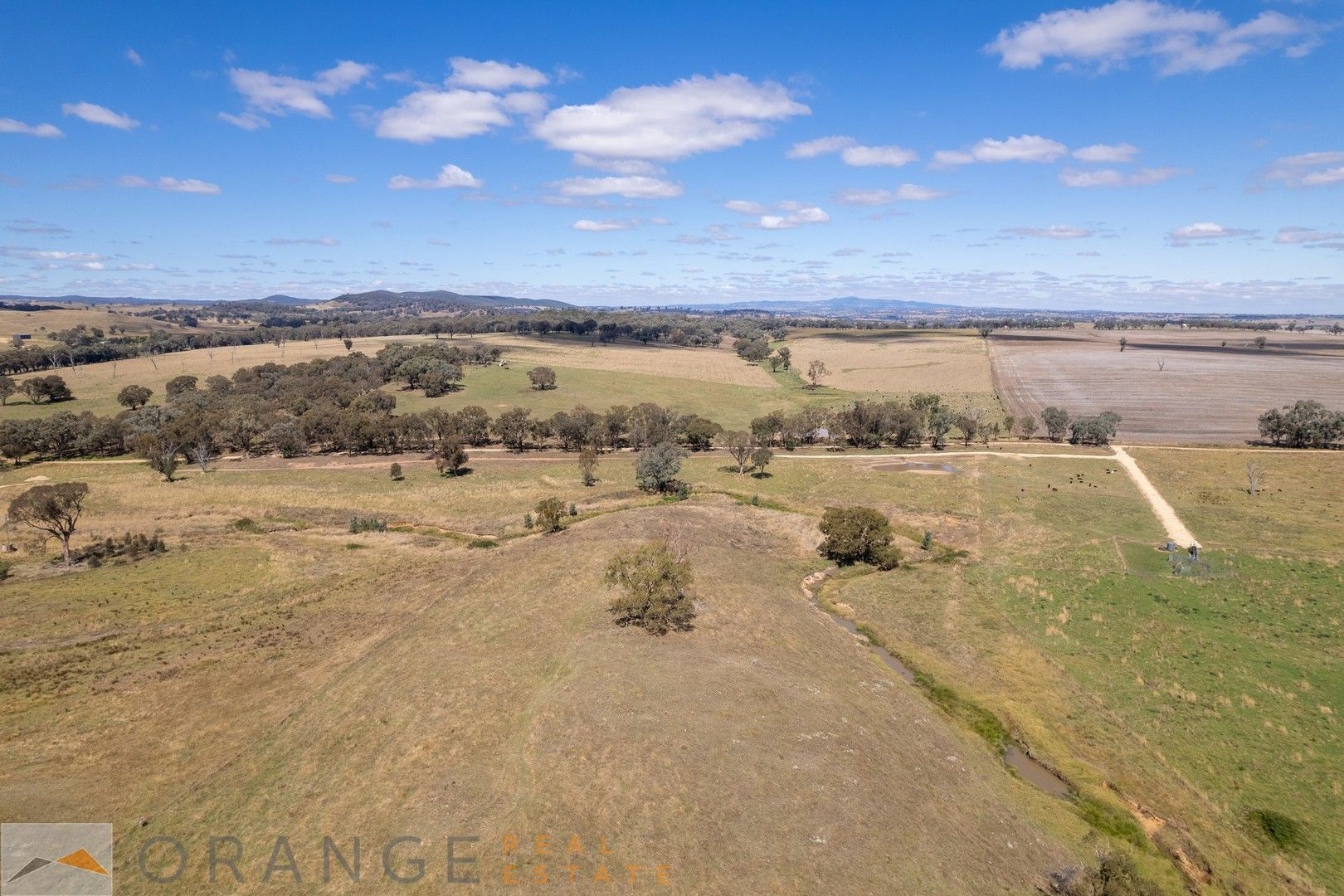 768 Boomey Lane, Molong NSW 2866 House for Sale Domain