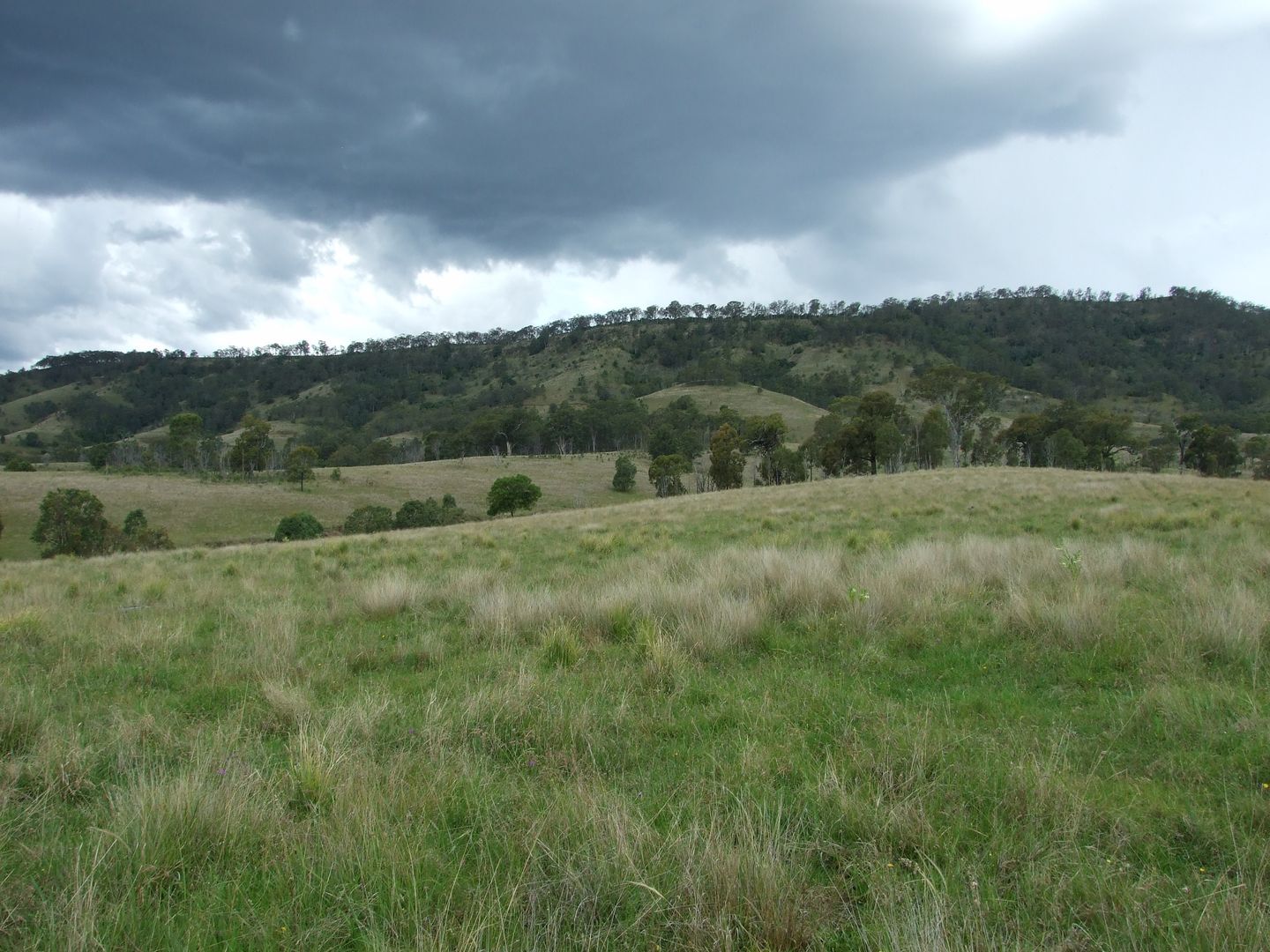 LOT 4/234 Goorangoola Creek Road, Singleton NSW 2330, Image 2