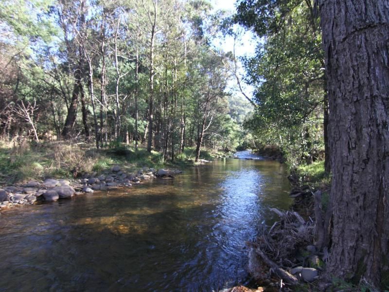 166 Great Alpine Road, Harrietville VIC 3741, Image 2