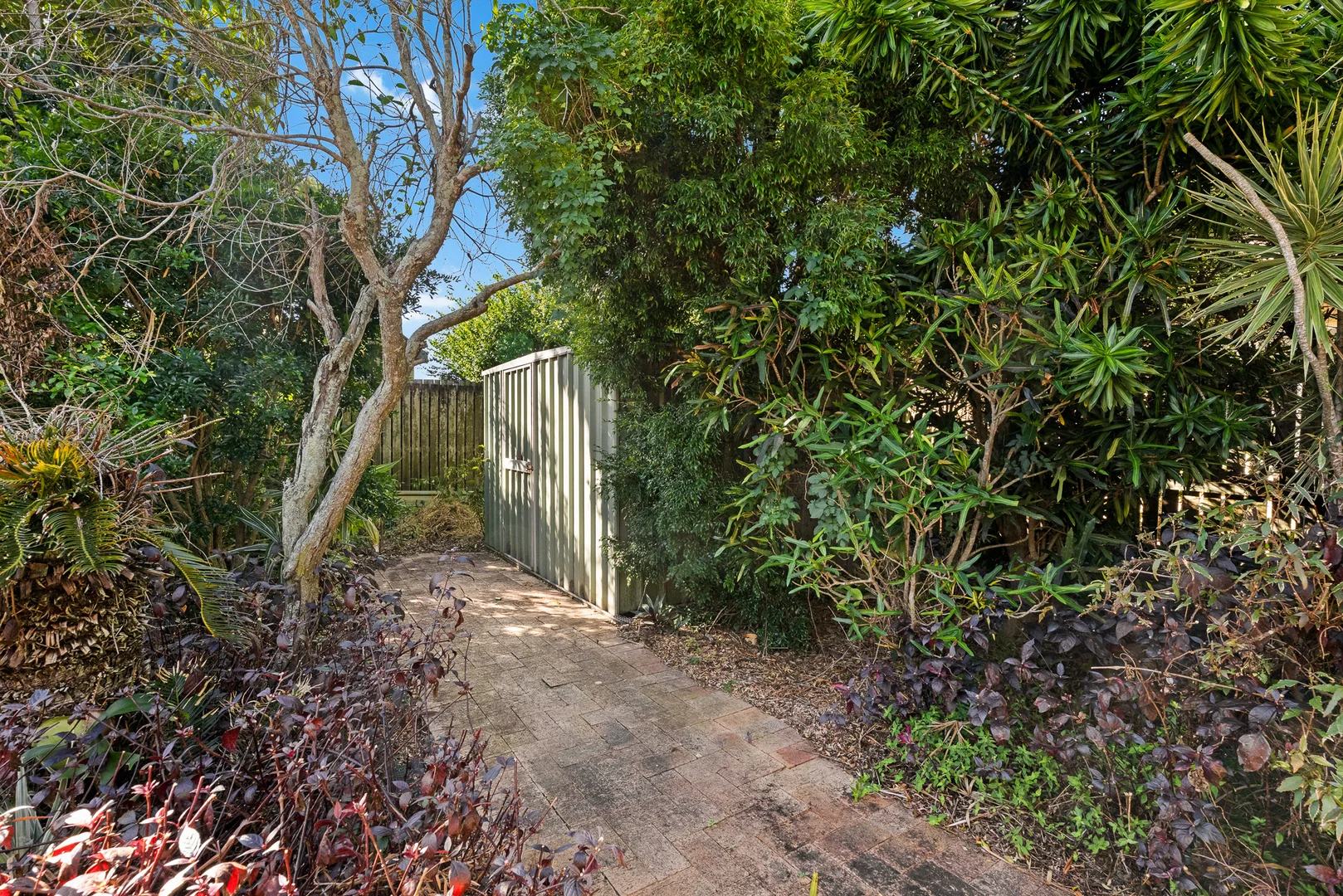 Image 15