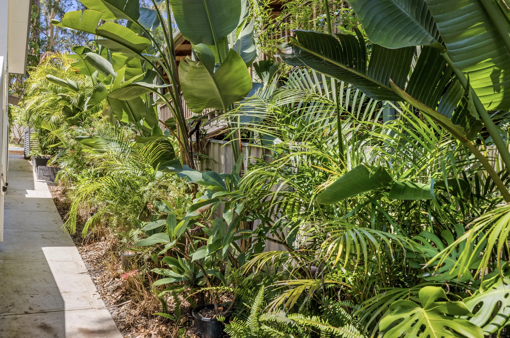 Additional image 24 of 32 Johnson Parade, Lemon Tree Passage NSW 2319