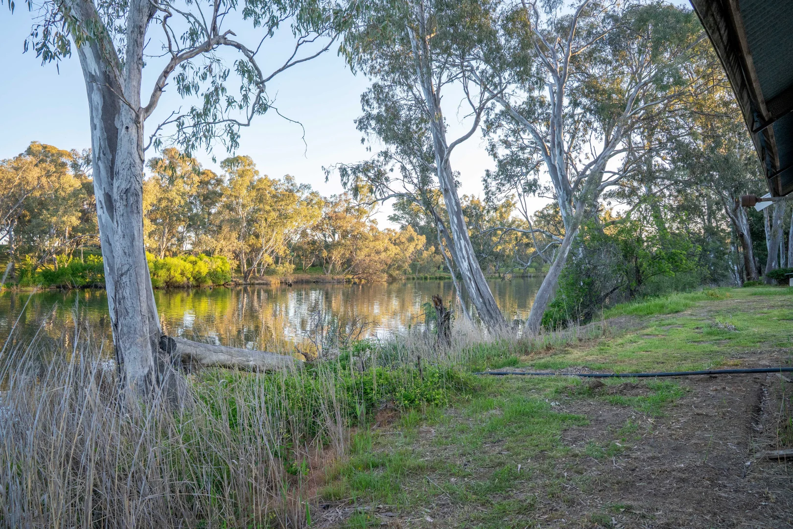 Image 15