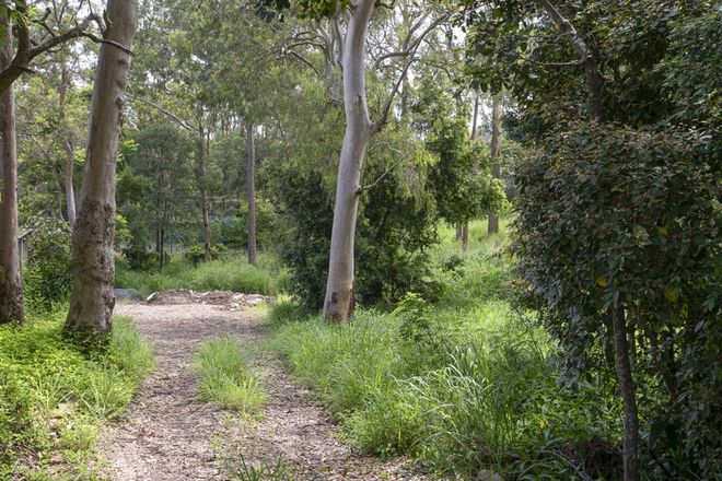 789-793 Cavendish Road Holland Park 4121 - Image 5