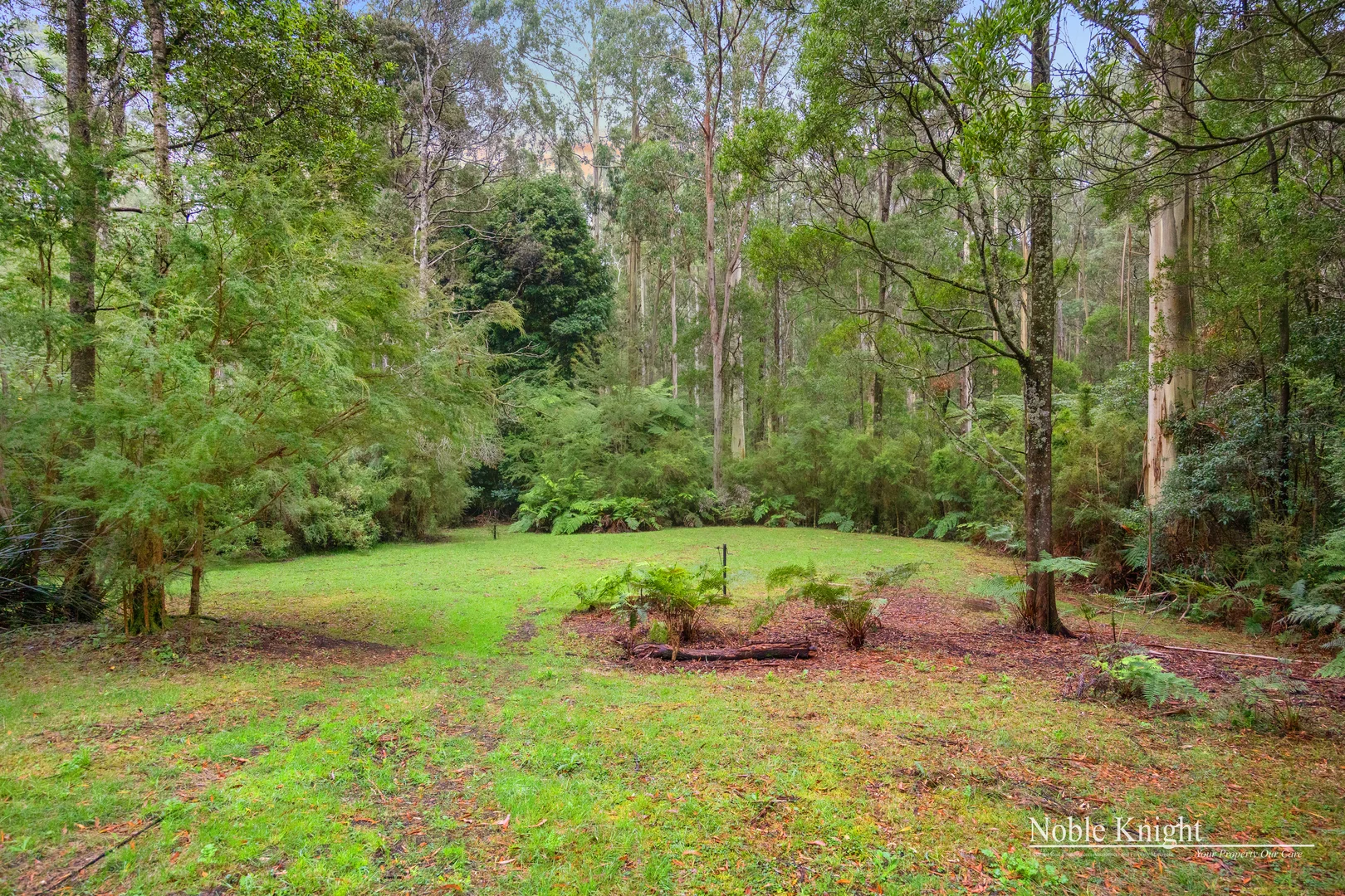 Additional image 17 of 424 Old Warburton Road, Warburton VIC 3799
