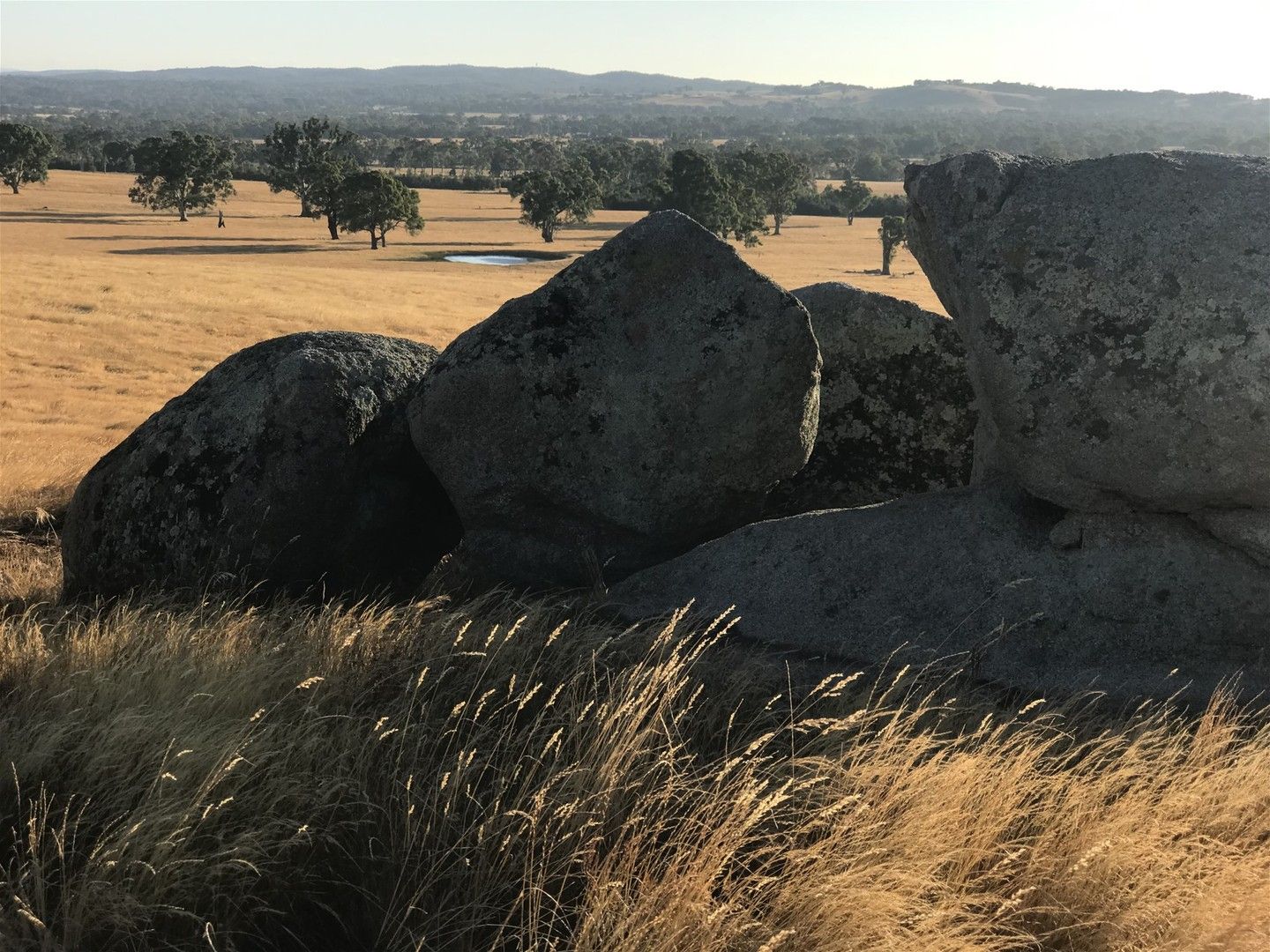 Lot 4 Cribbes Hill Rd, Elphinstone VIC 3448 Rural Lifestyle Property