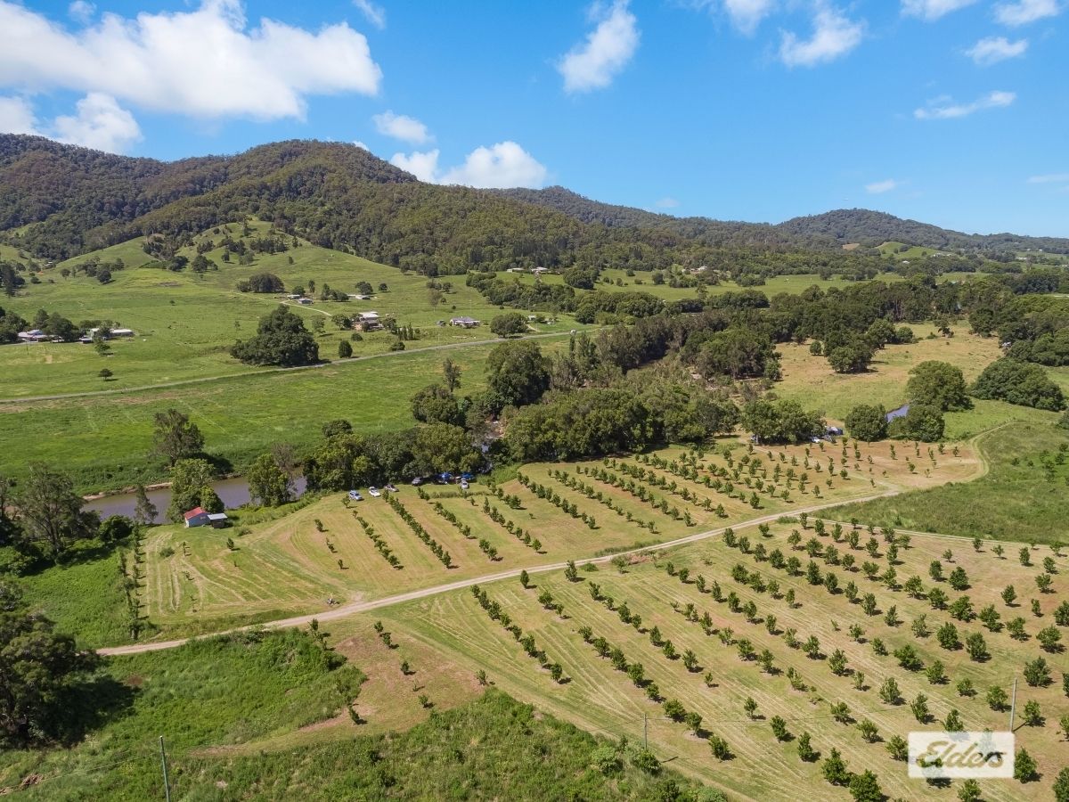 677 Tyalgum Road, Eungella NSW 2484 House for Sale Domain