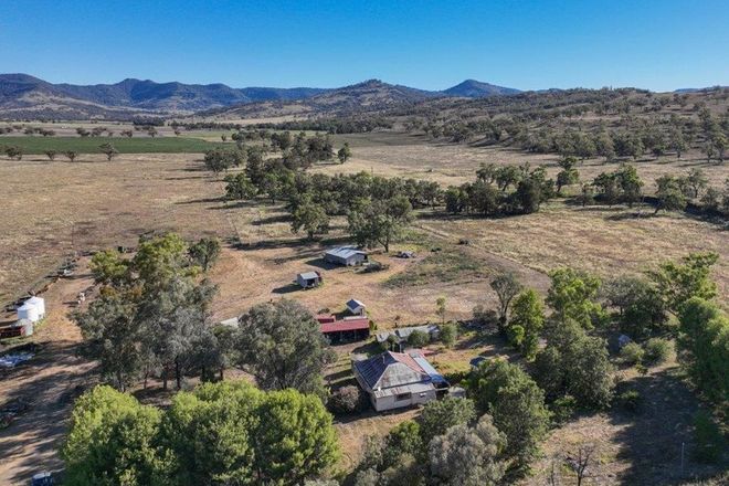 Picture of 292 Big Jacks Creek Road, WILLOW TREE NSW 2339