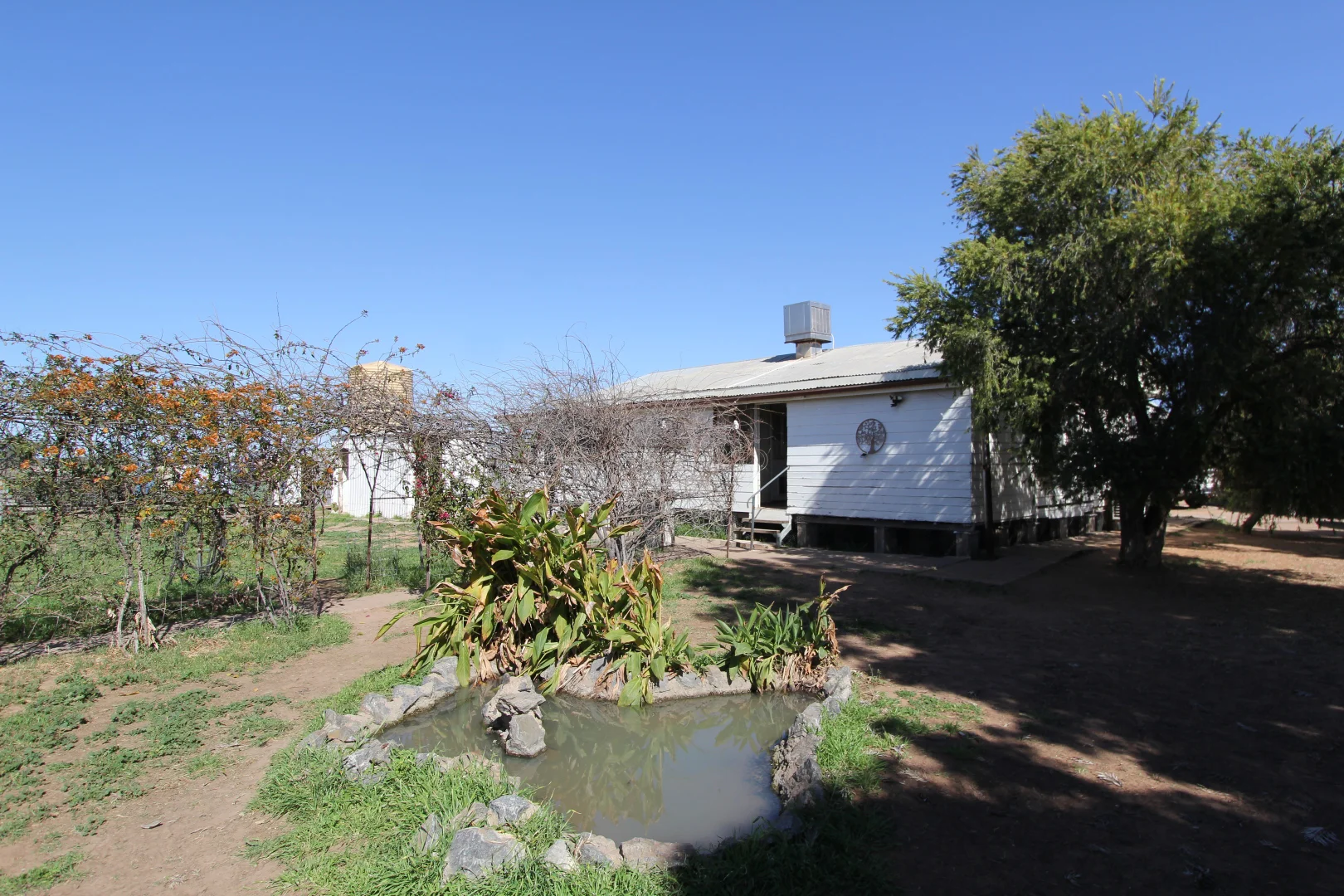 Image 13