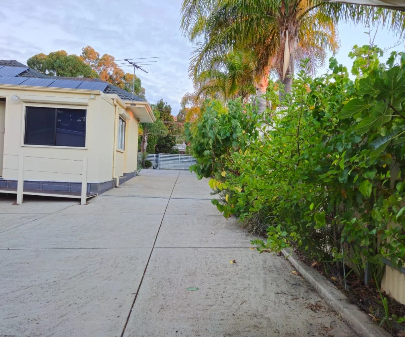 Additional image 43 of 343 Gorge Rd, Athelstone SA 5076