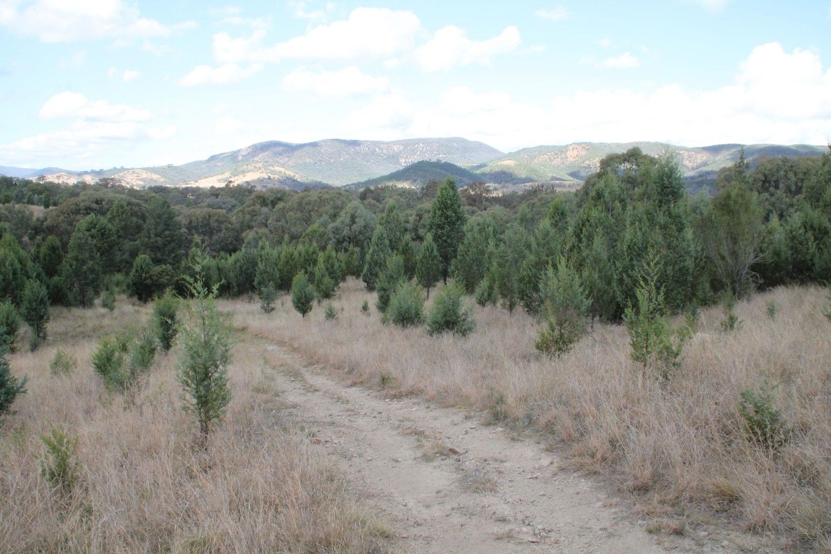 Lot 47 Mole River Road, Tenterfield NSW 2372, Image 2