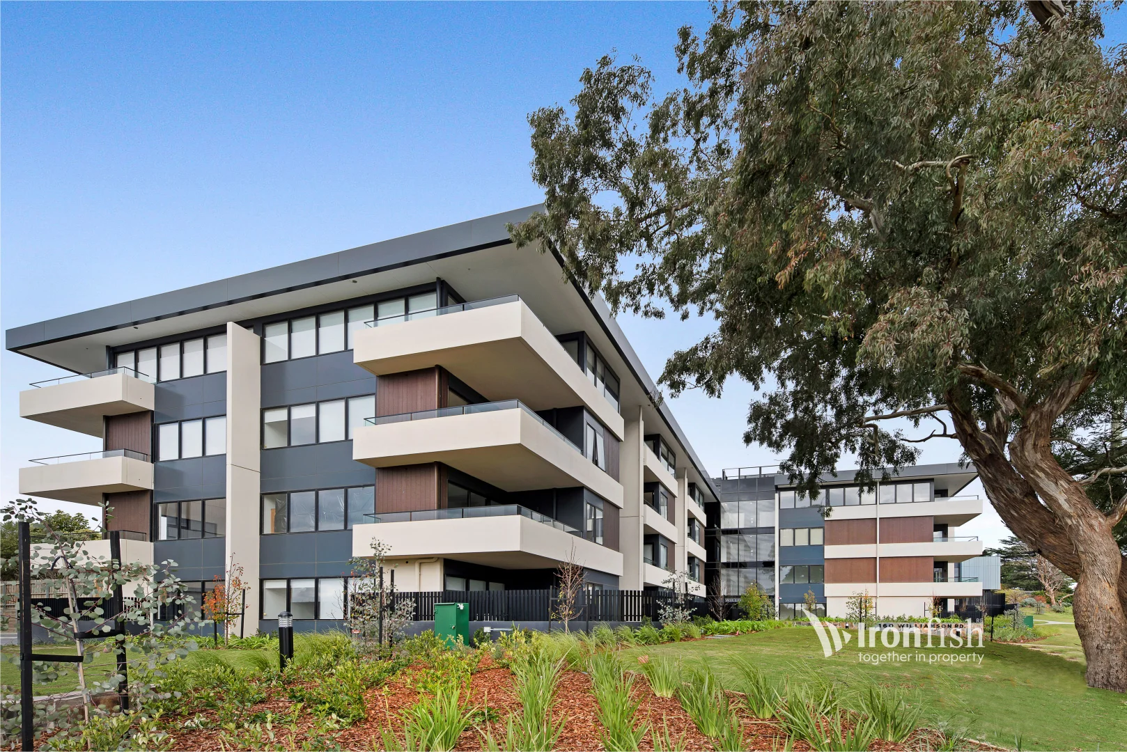 Additional image 6 of 1/160 Williamsons Road, Doncaster VIC 3108