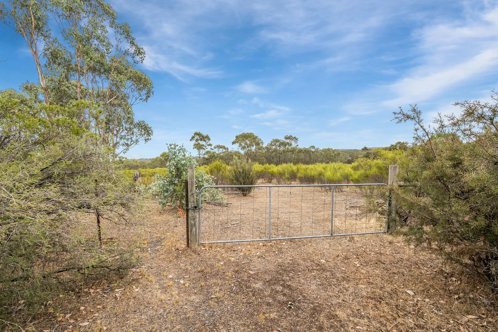 2 Etheridge Court, Heathcote VIC 3523