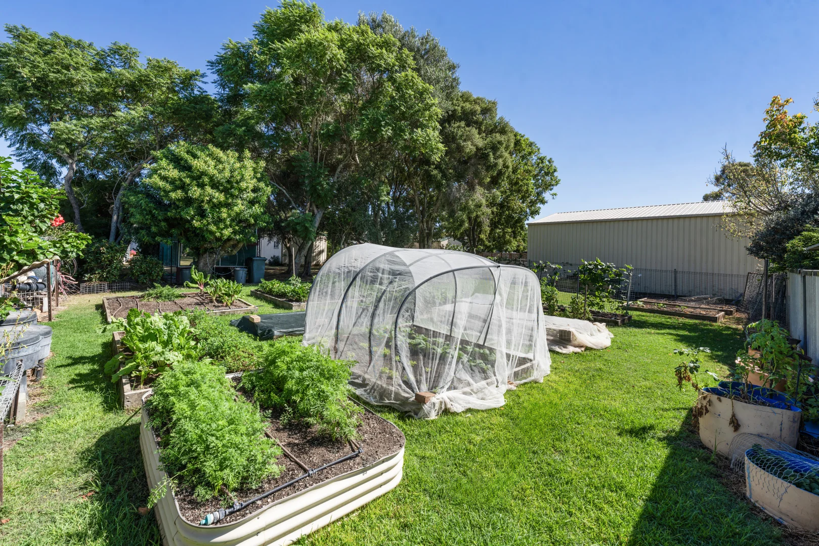 Additional image 26 of 13 Beresford Street, Pittsworth QLD 4356