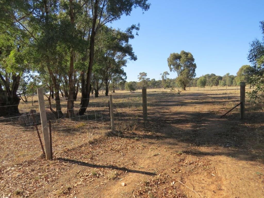 Lot 40A Monument Drive, Wedderburn VIC 3518, Image 1