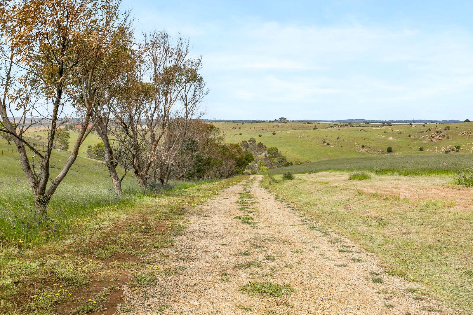 1390 Randell Road, Palmer SA 5237, Image 1