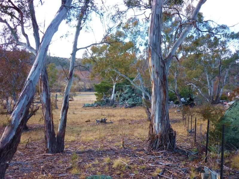 Lot 3 Church Road, COOMA NSW 2630, Image 1