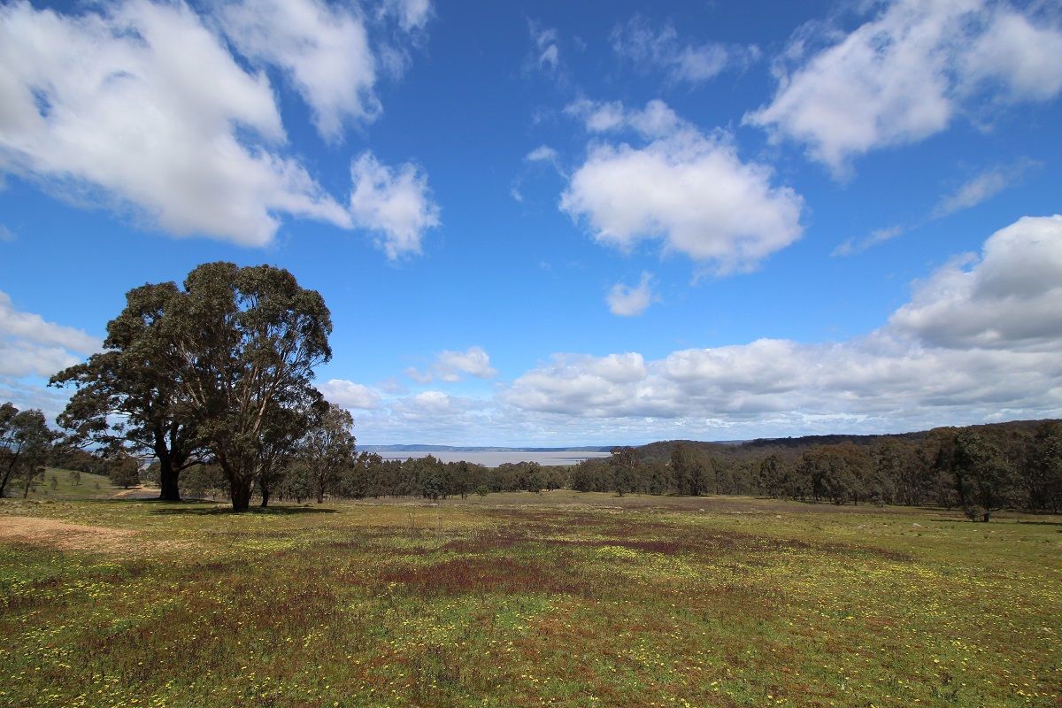 Samuals Run Collector Road, Collector NSW 2581, Image 1