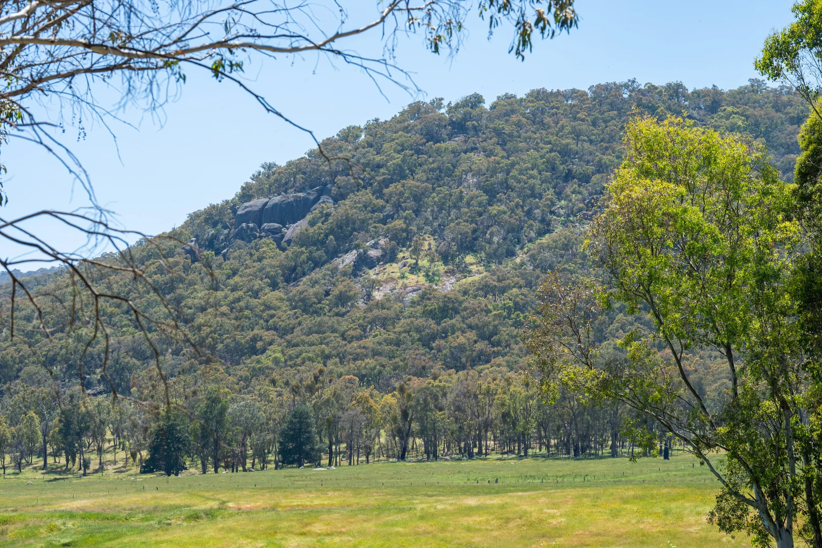 Image 37