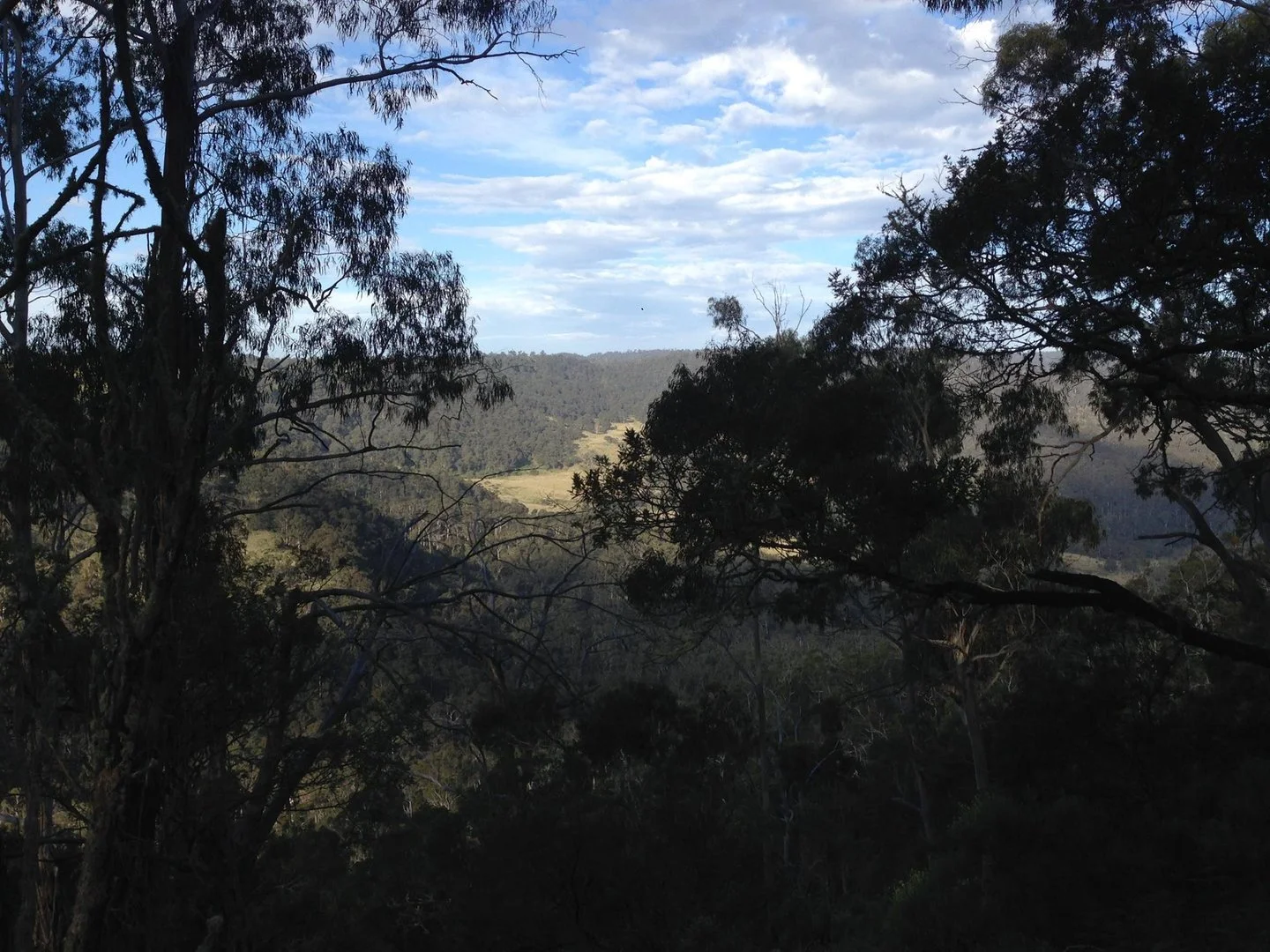Image 7