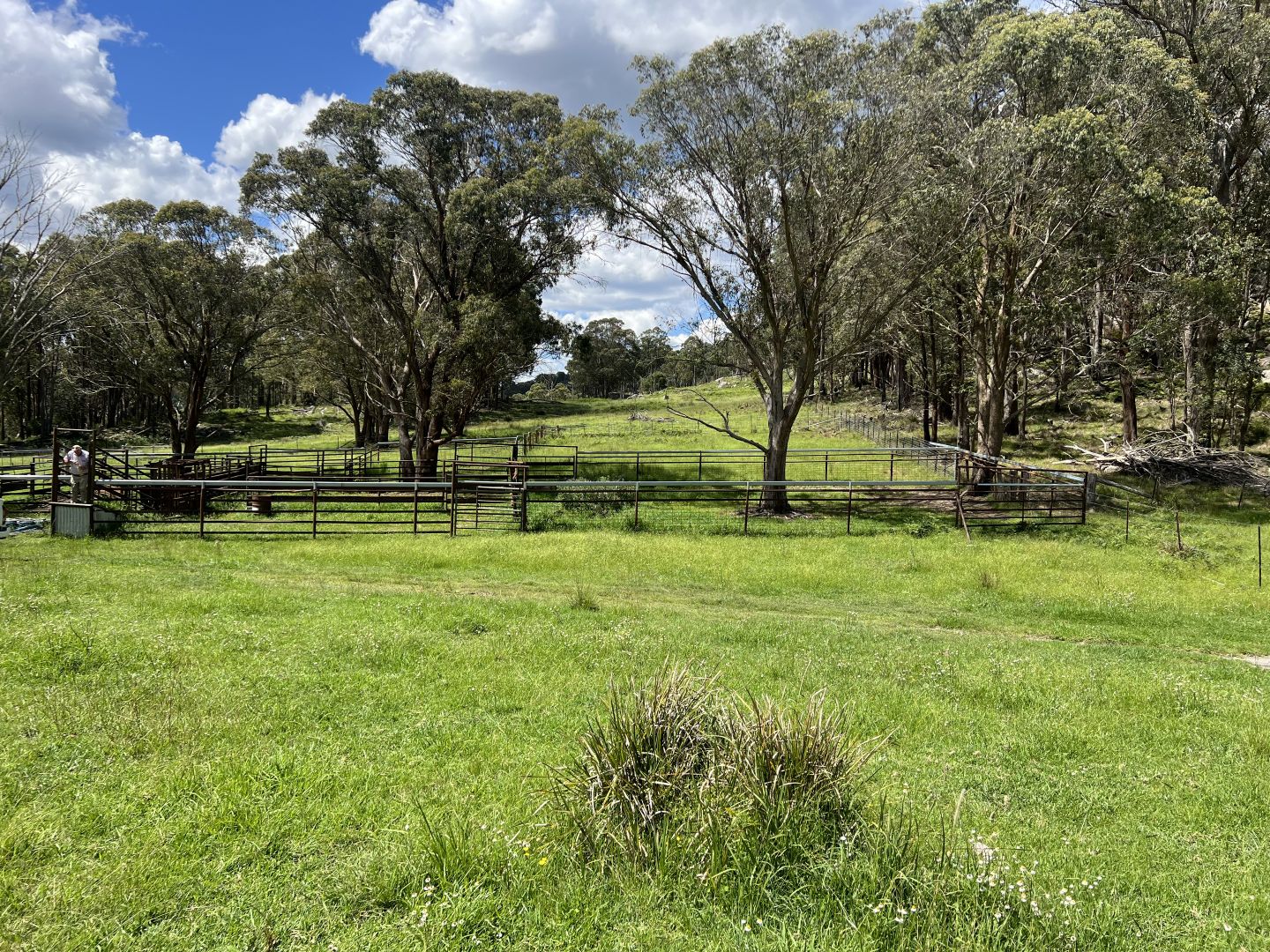 'Mt Clear'/* Morven Road, Dundee NSW 2370, Image 1