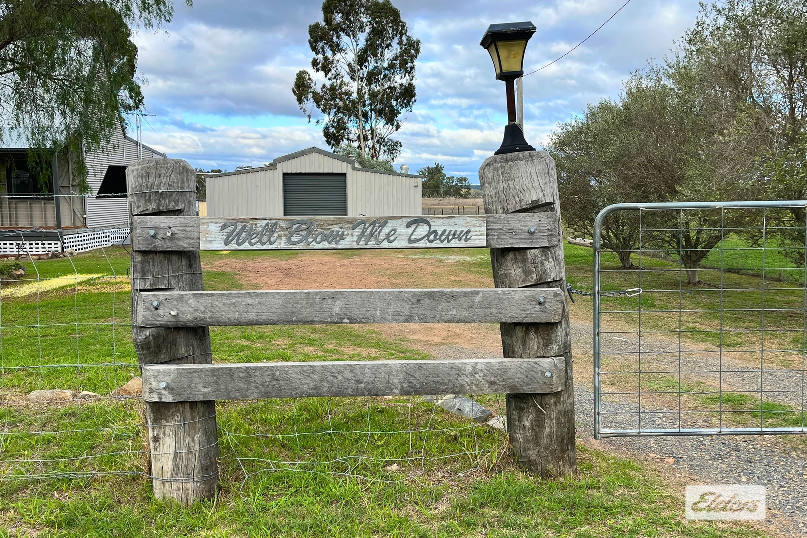 Image 2
