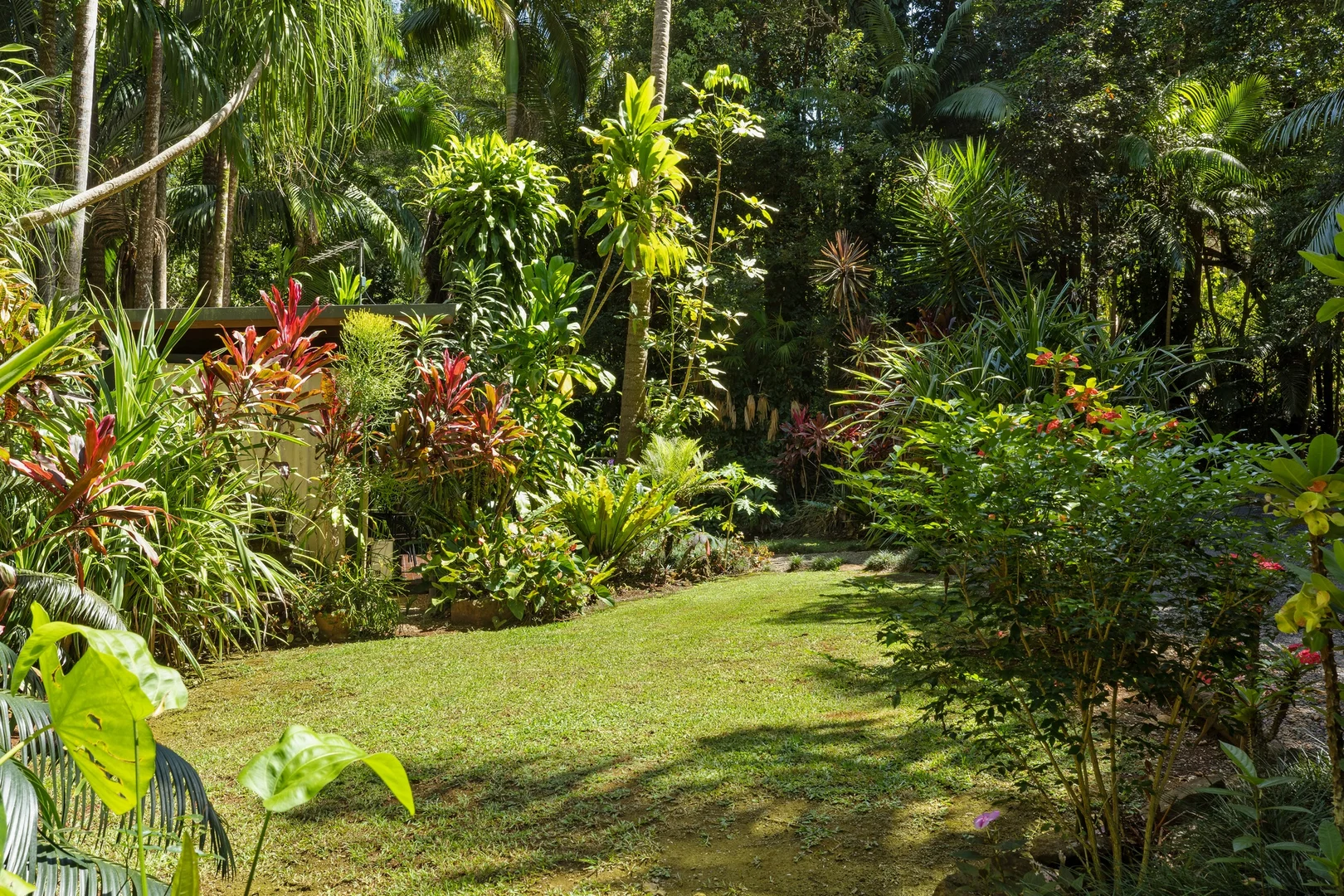 Image 12