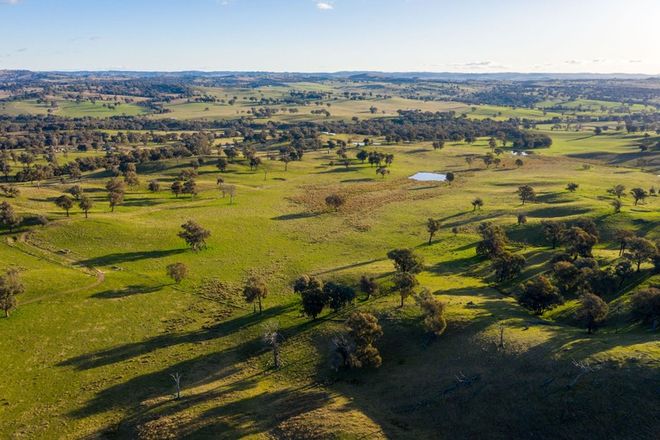 Picture of 5995 Hume Highway, TARCUTTA NSW 2652