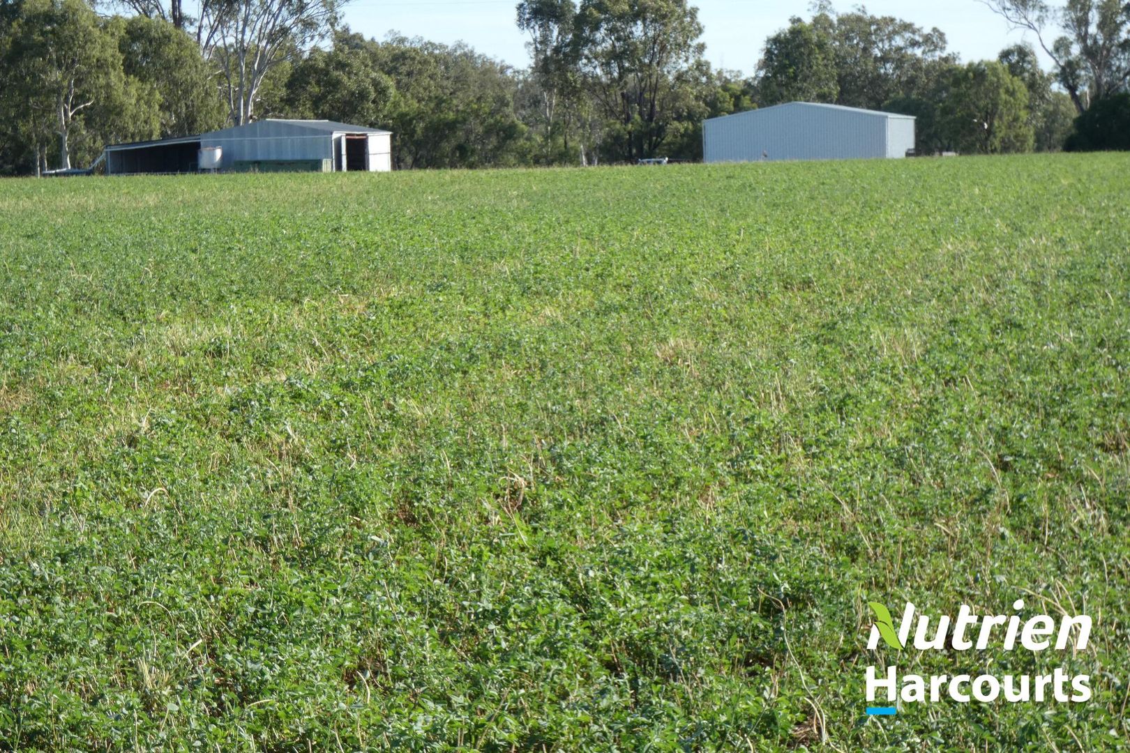 * Old Man Lagoon*, Chinchilla QLD 4413 Specialist Farm for Sale