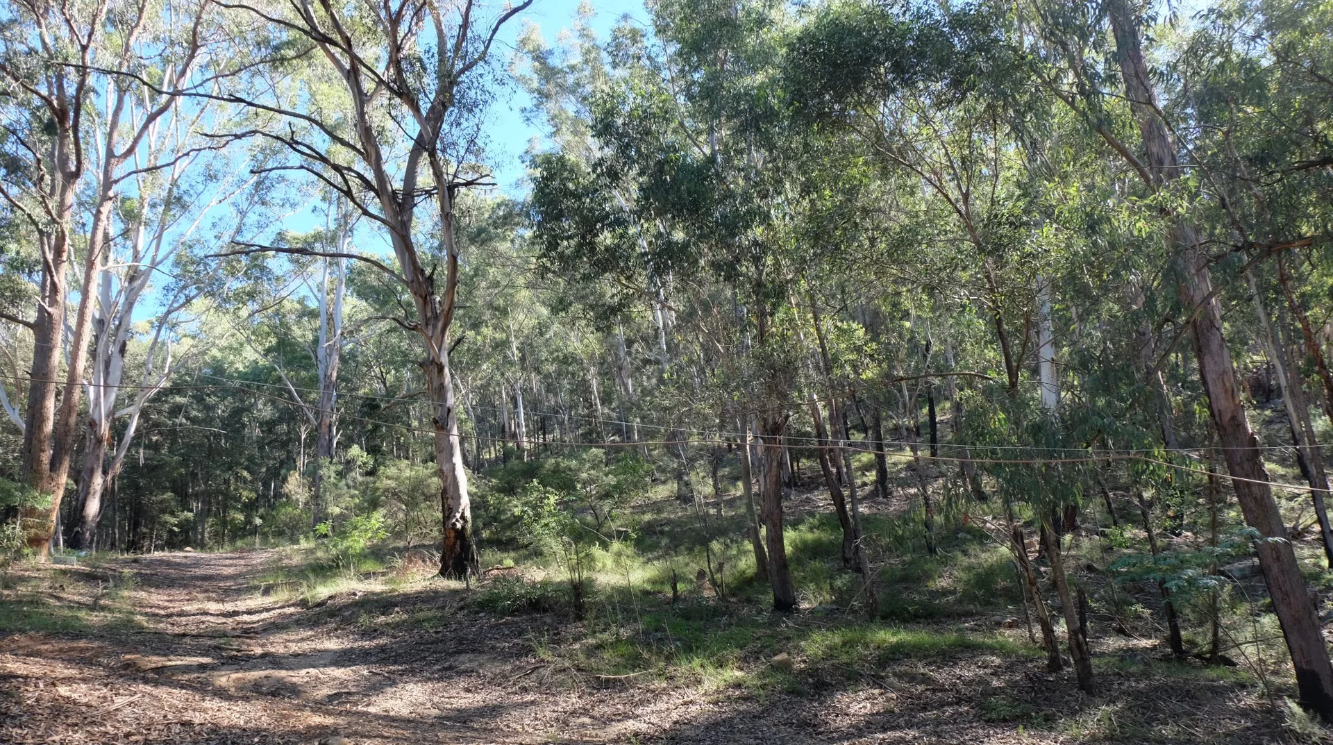 Additional image 28 of 258 Bents Basin Road, Wallacia NSW 2745