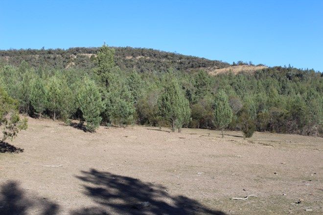 Picture of '' The Summit", BERRIGAL NSW 2390