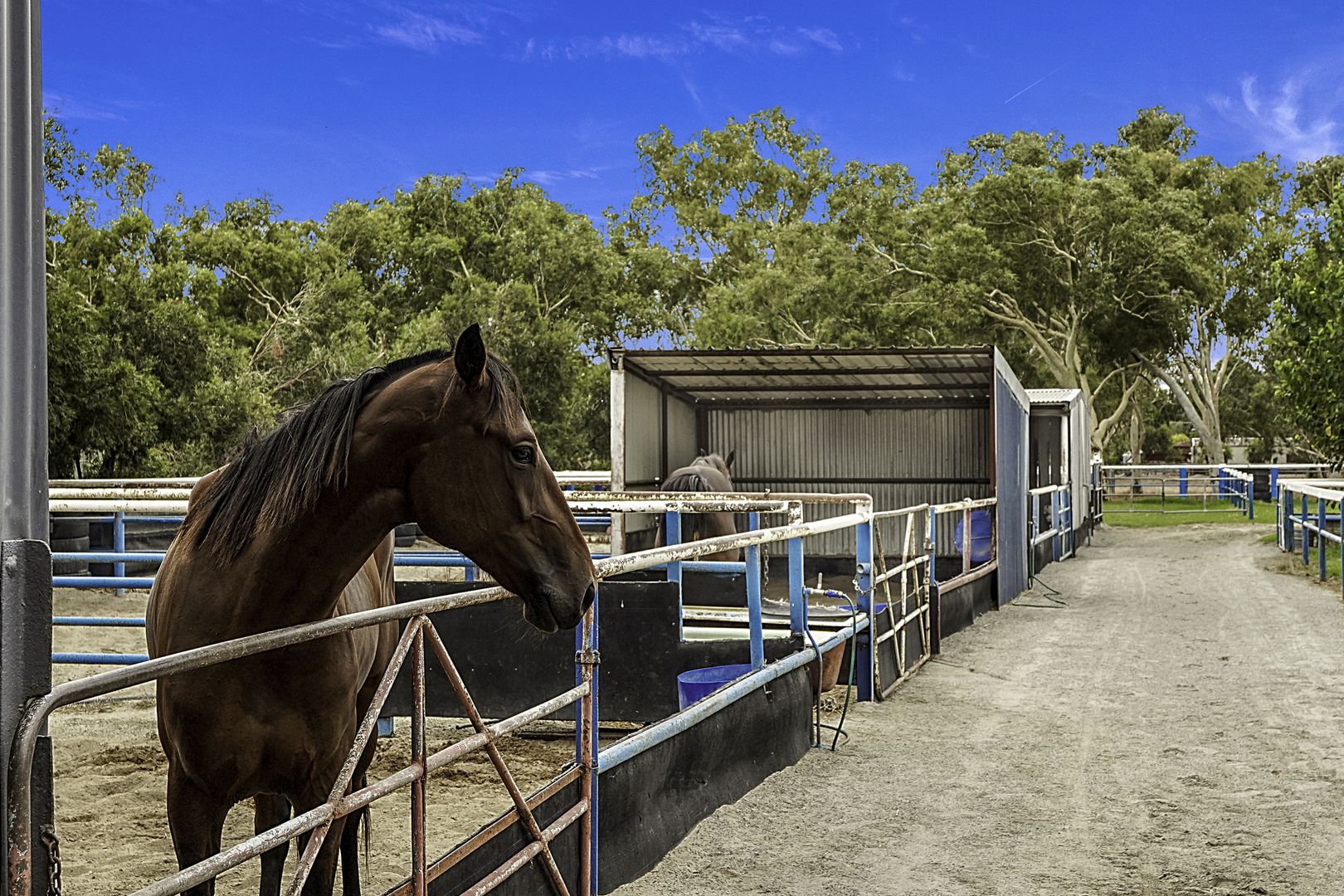 4 Binshaw Avenue, Byford WA 6122, Image 1