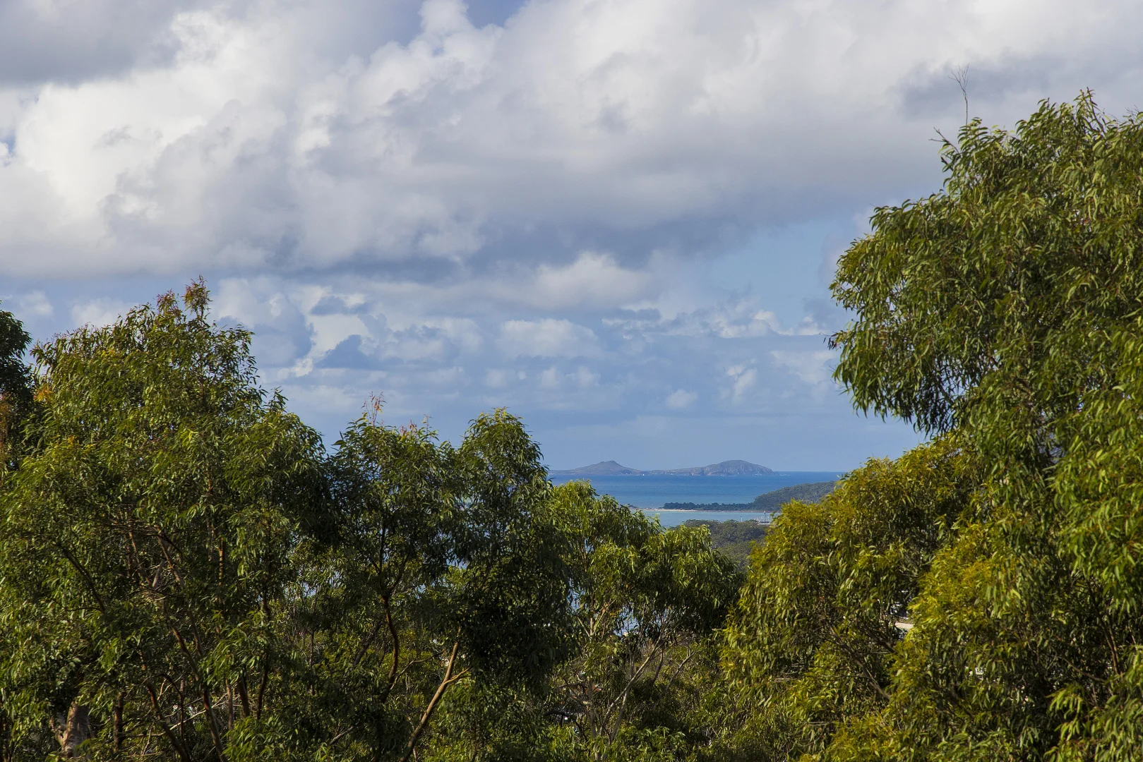 Image 15