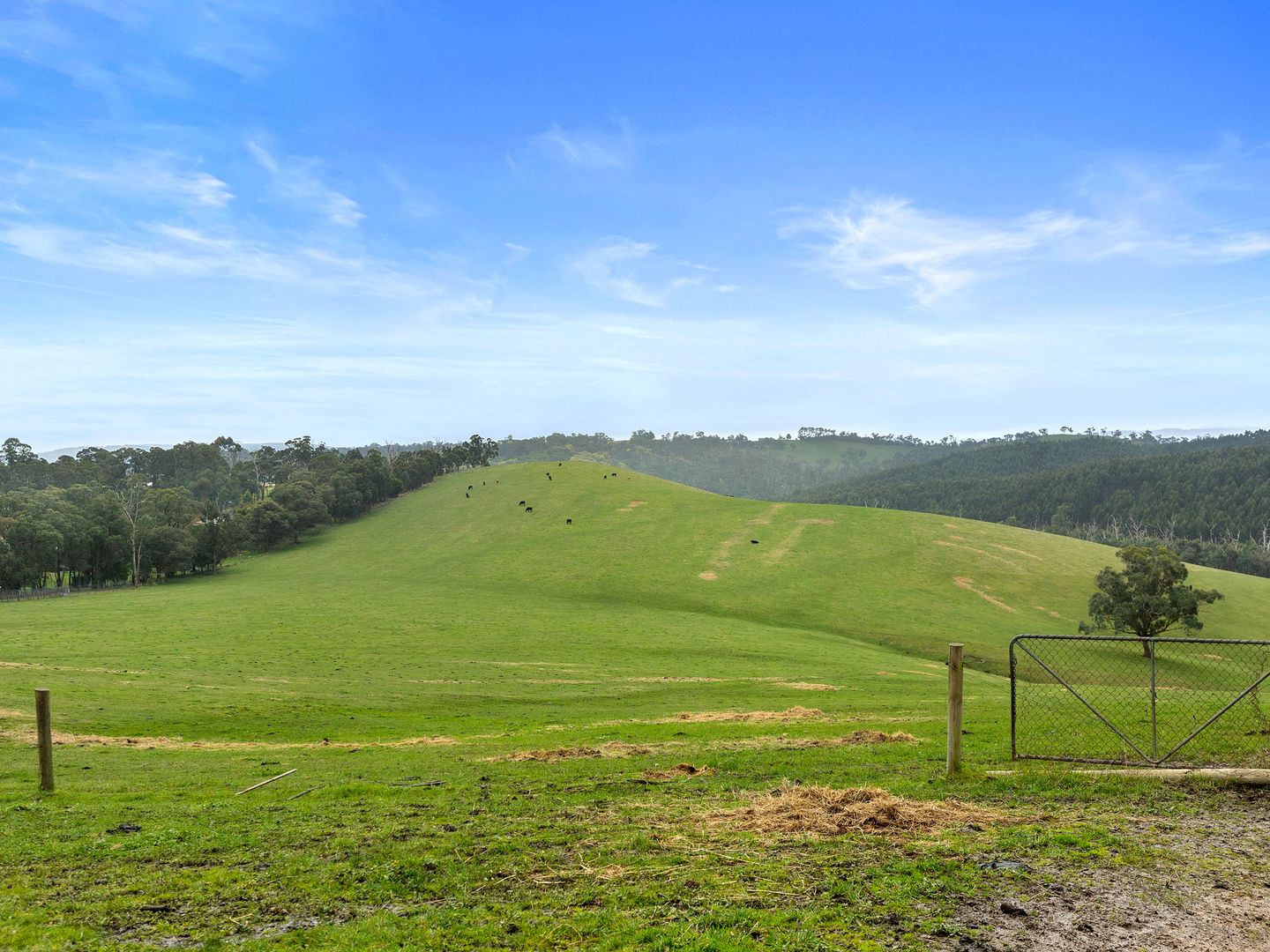 225 North Mountain Road, Heathcote Junction VIC 3758 House for Sale