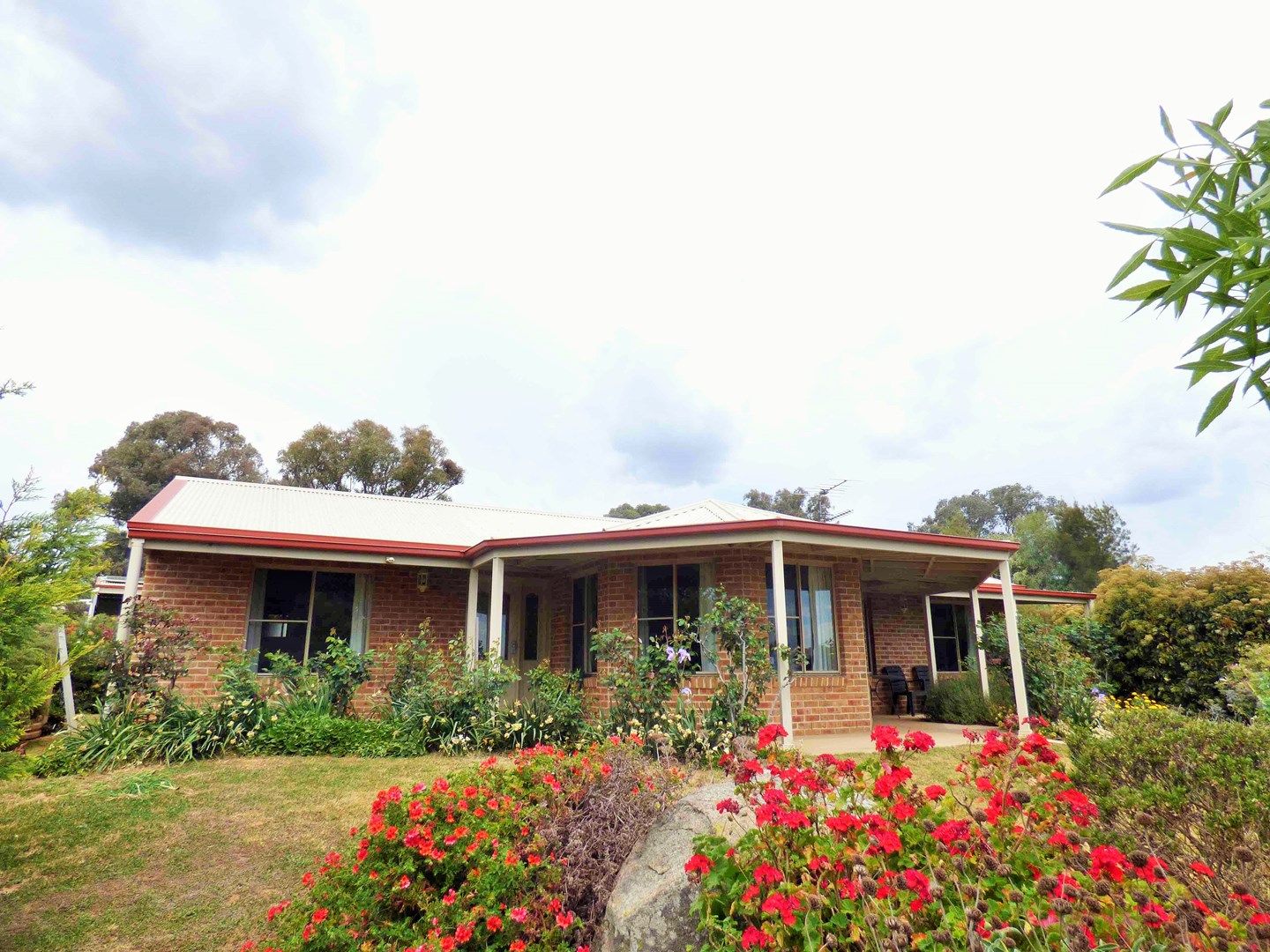 227 Noonans Road, Young NSW 2594
