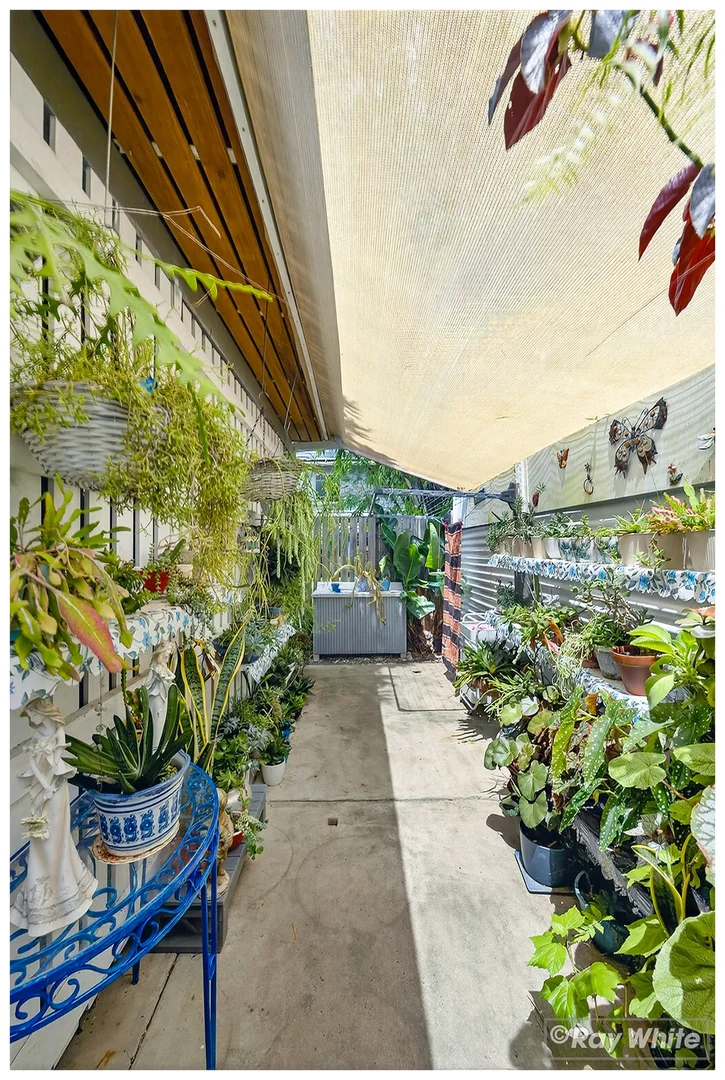 Additional image 28 of 7 Water Street, Berserker QLD 4701