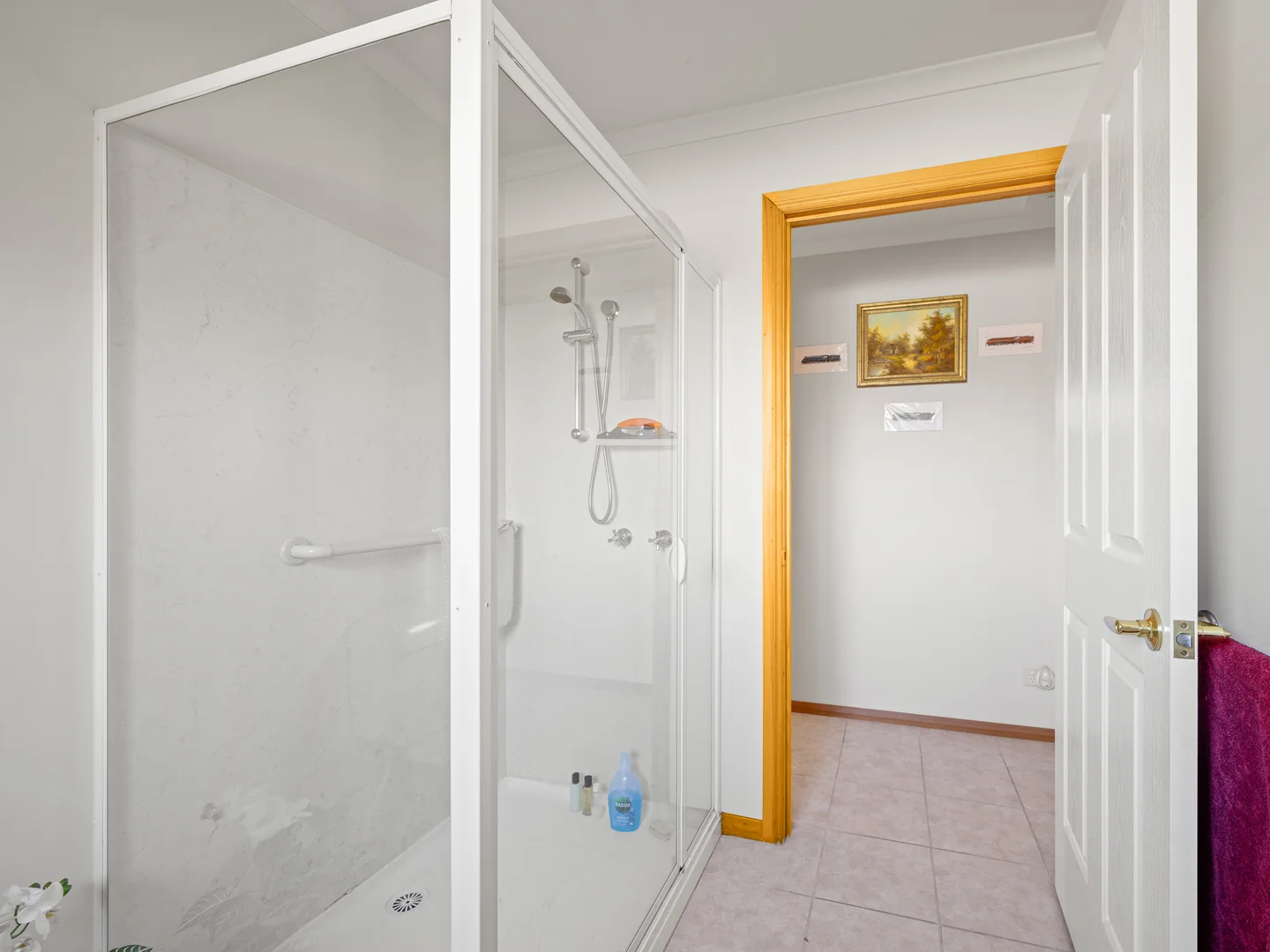 Additional image 19 of 8 Nautilus Place, St Helens TAS 7216