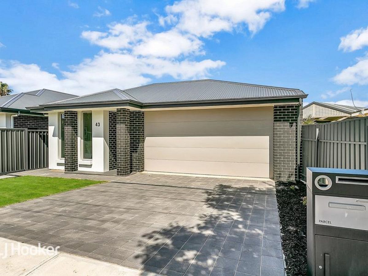 43 Minkie Avenue, Mitchell Park SA 5043, Image 2