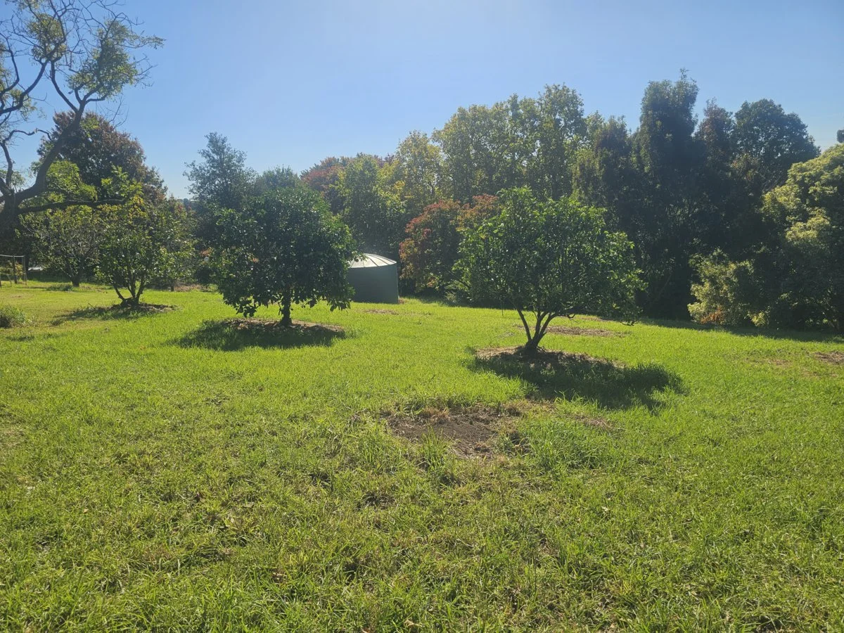 1B John Court, Bairnsdale VIC 3875