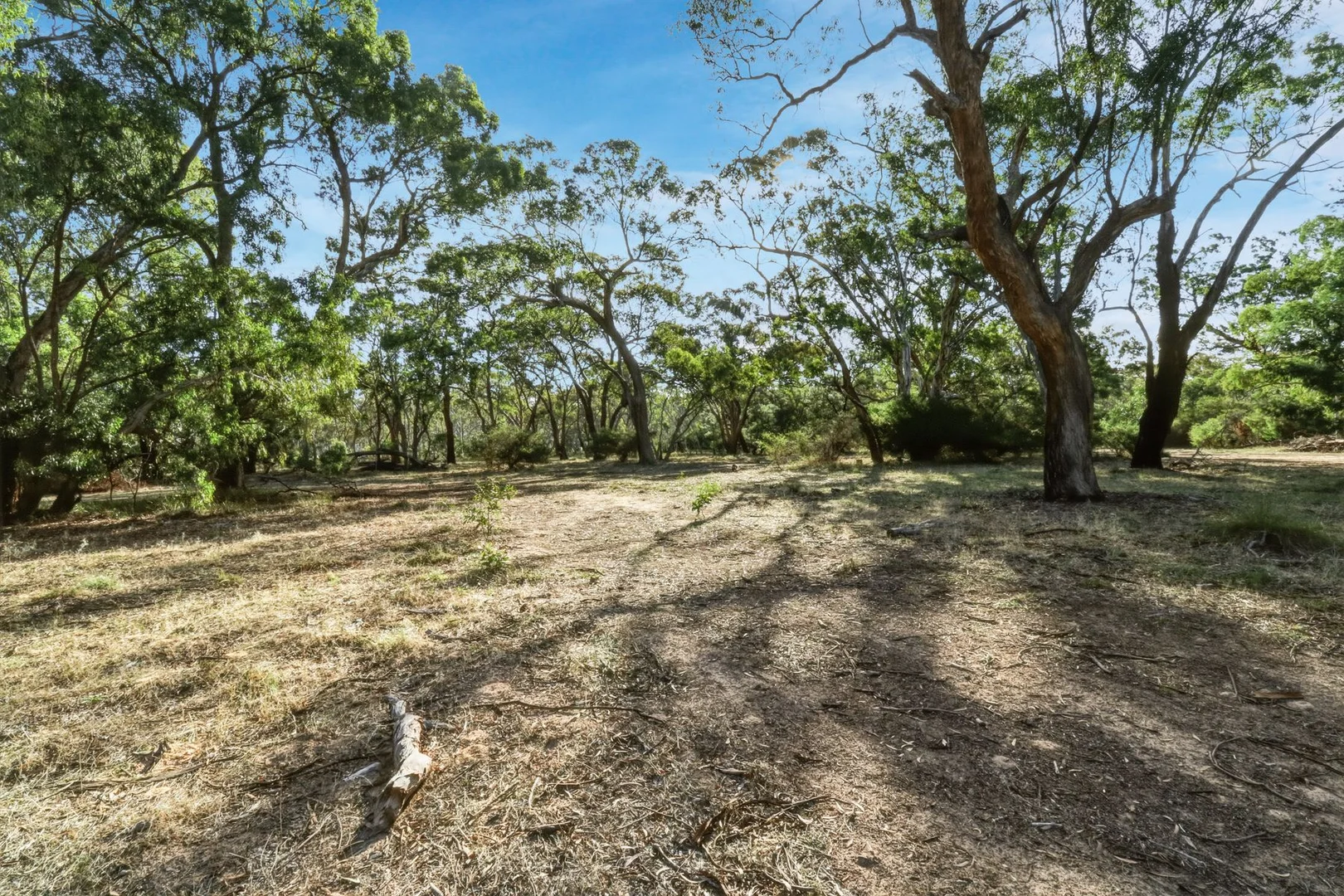 Image 14