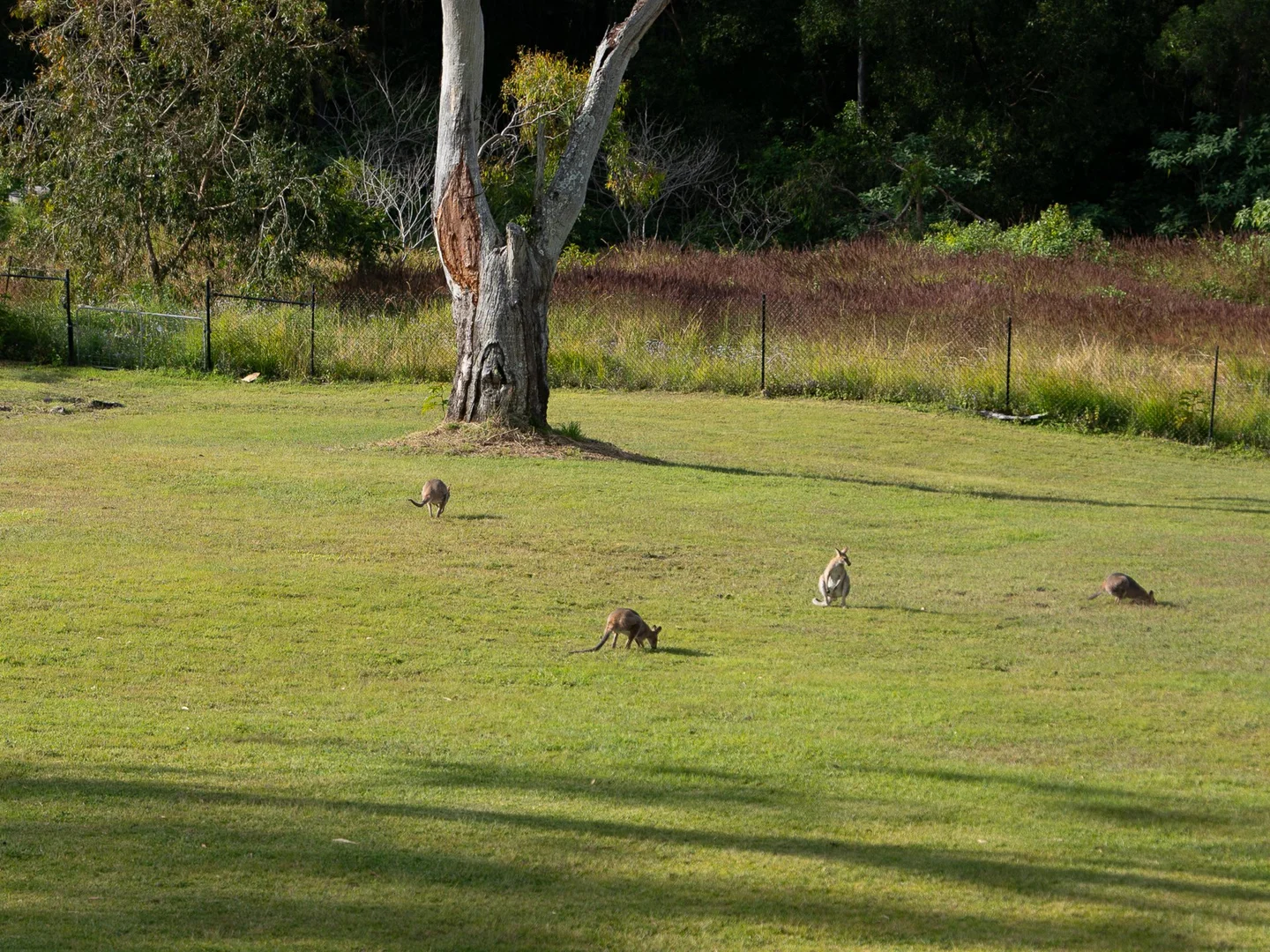 Image 32