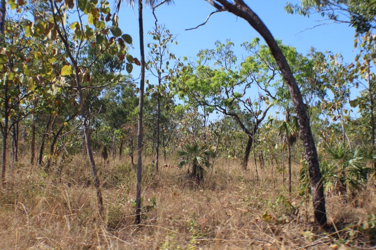 1780 Coach Road, Batchelor NT 0845 Vacant Land for Sale Domain