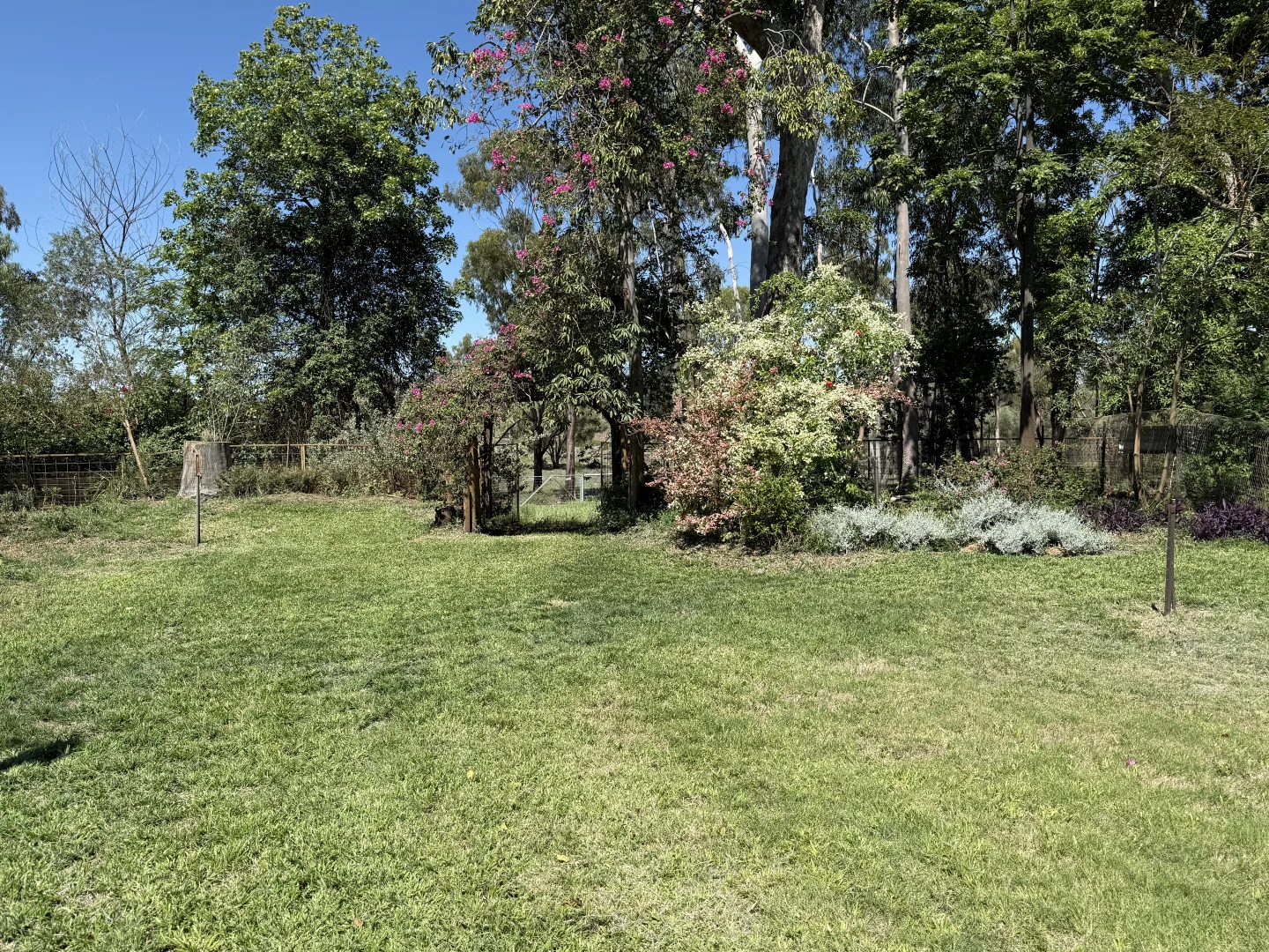 Image 9