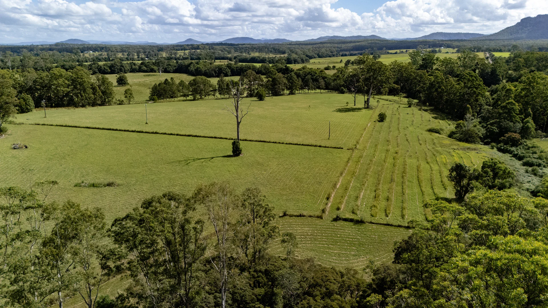 Additional image 8 of 778 Central Lansdowne Road, Upper Lansdowne NSW 2430