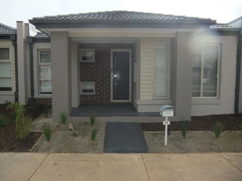 POINT COOK LIVING-New Carpet, Point Cook