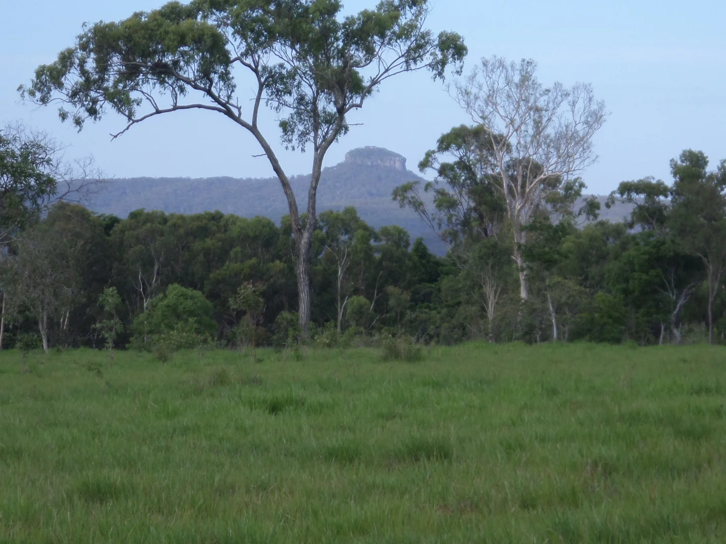 Image 22